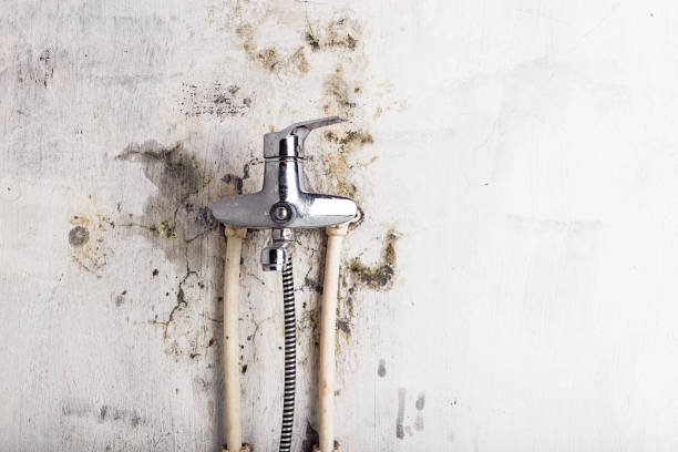 Best Mold Damage Repair  in Watonga, OK