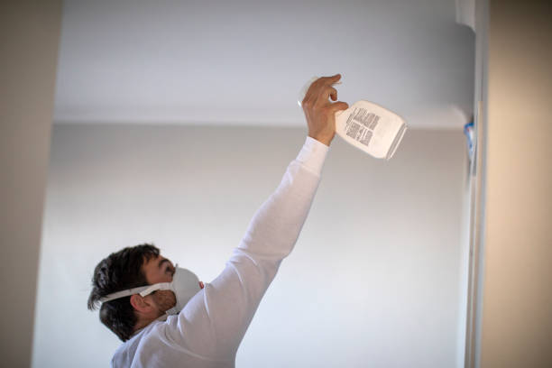 Best Professional Mold Removal  in Watonga, OK