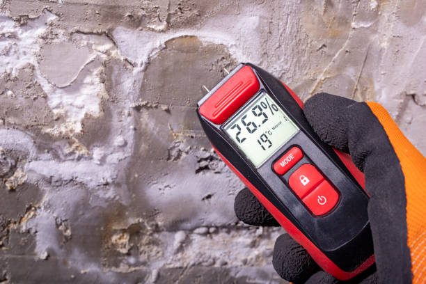 Best Mold Remediation  in Watonga, OK