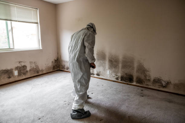 Best Mold Testing  in Watonga, OK
